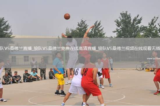 狼队VS桑德兰直播_狼队VS桑德兰免费在线高清直播_狼队VS桑德兰视频在线观看无插件